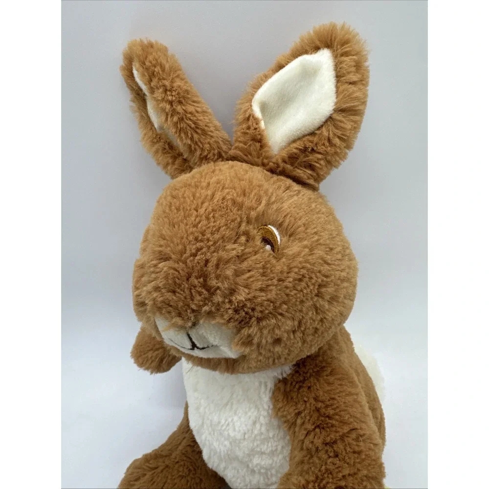 Vintage Beatrix Potter The Original Peter Rabbit  10